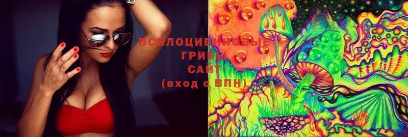 Псилоцибиновые грибы MAGIC MUSHROOMS Валдай